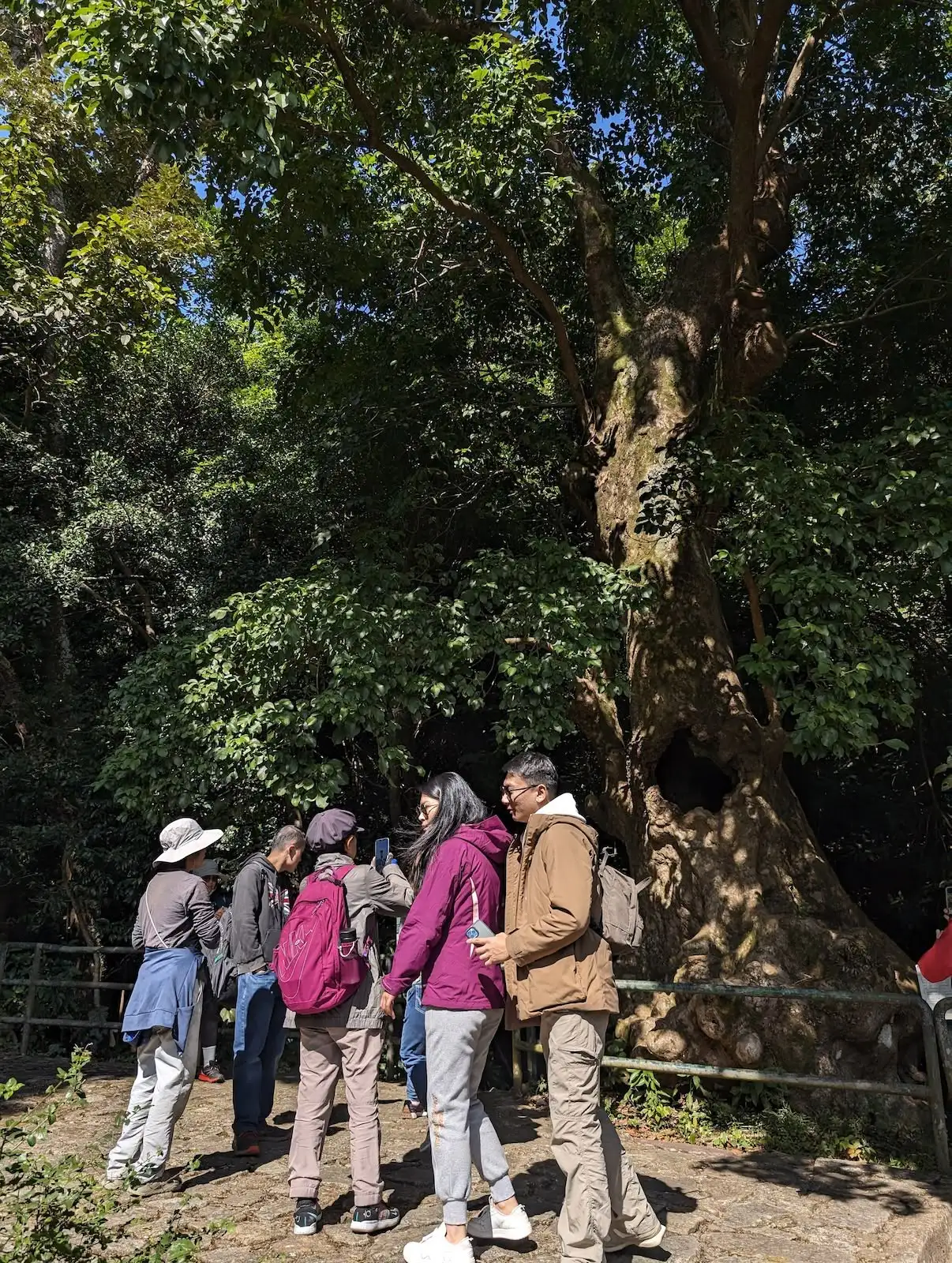 荔枝窩冬日鄉郊滋味行 - Gallery image 8