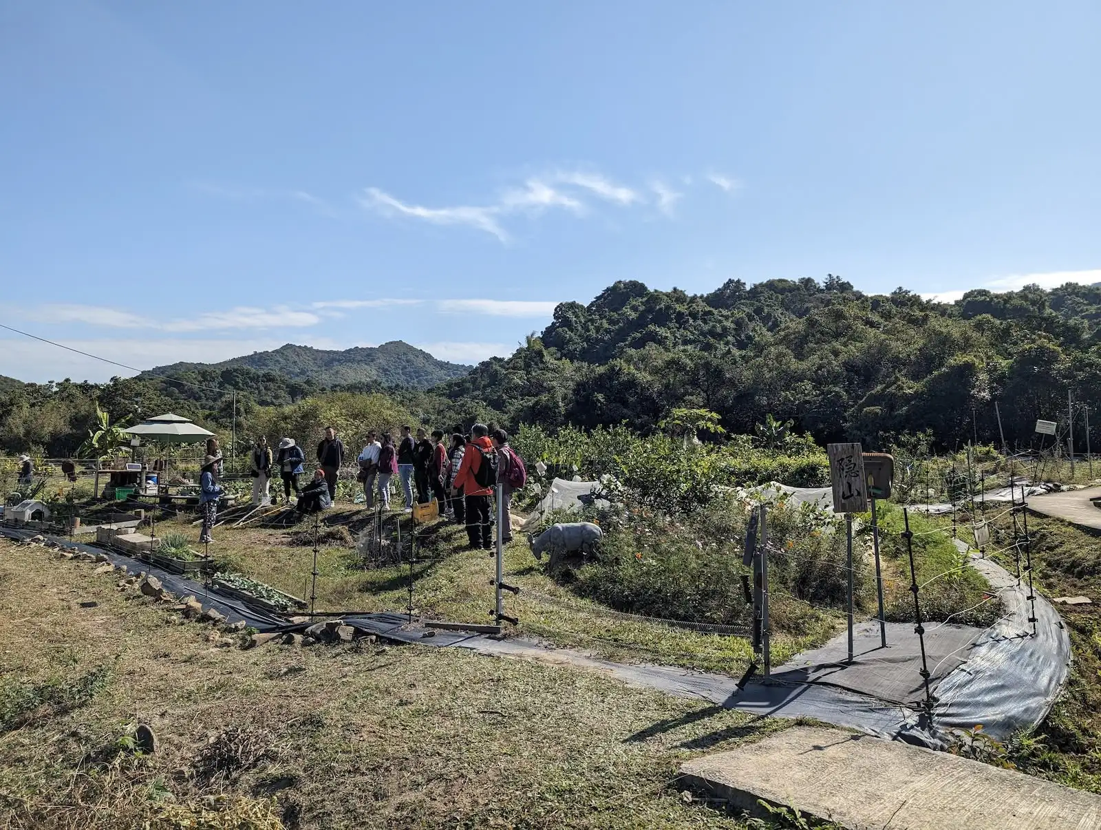 荔枝窩冬日鄉郊滋味行 - Gallery image 10