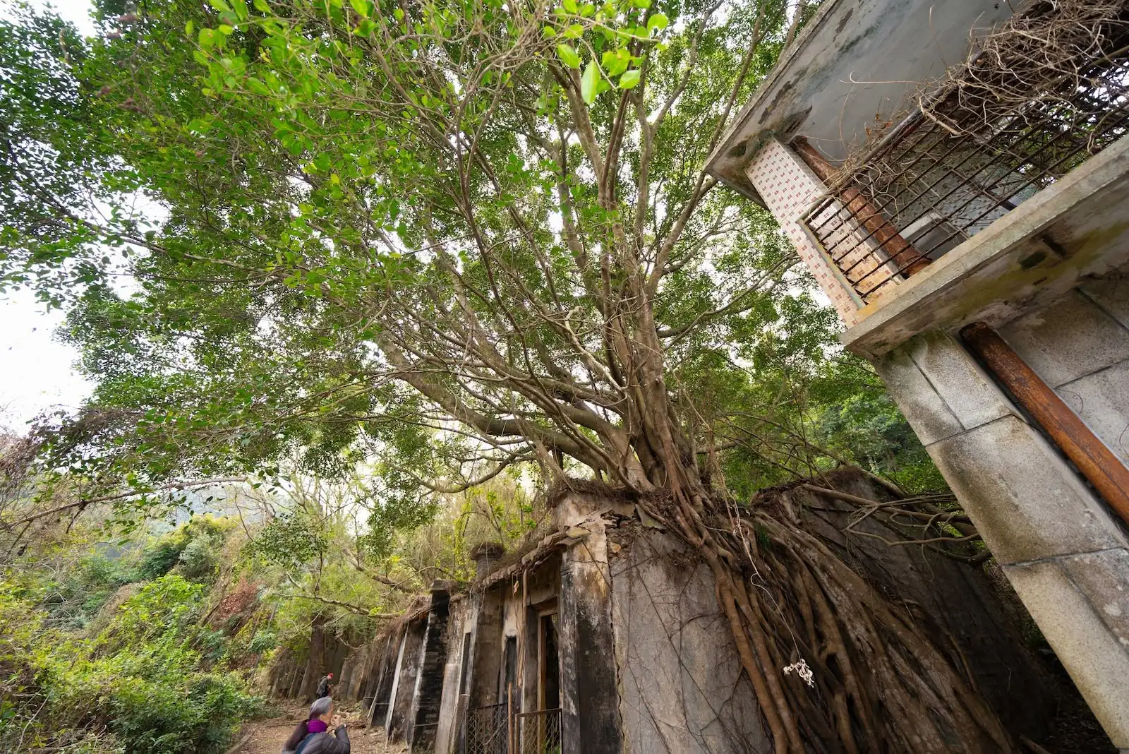 正月十五 客家新春 榕樹凹有請 - Gallery image 4