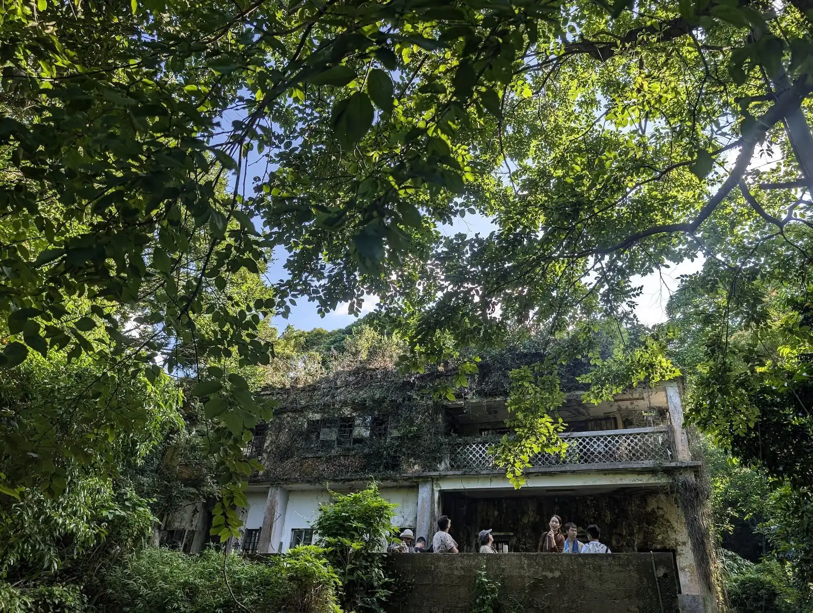 光影拾遺榕樹凹 - Gallery image 7