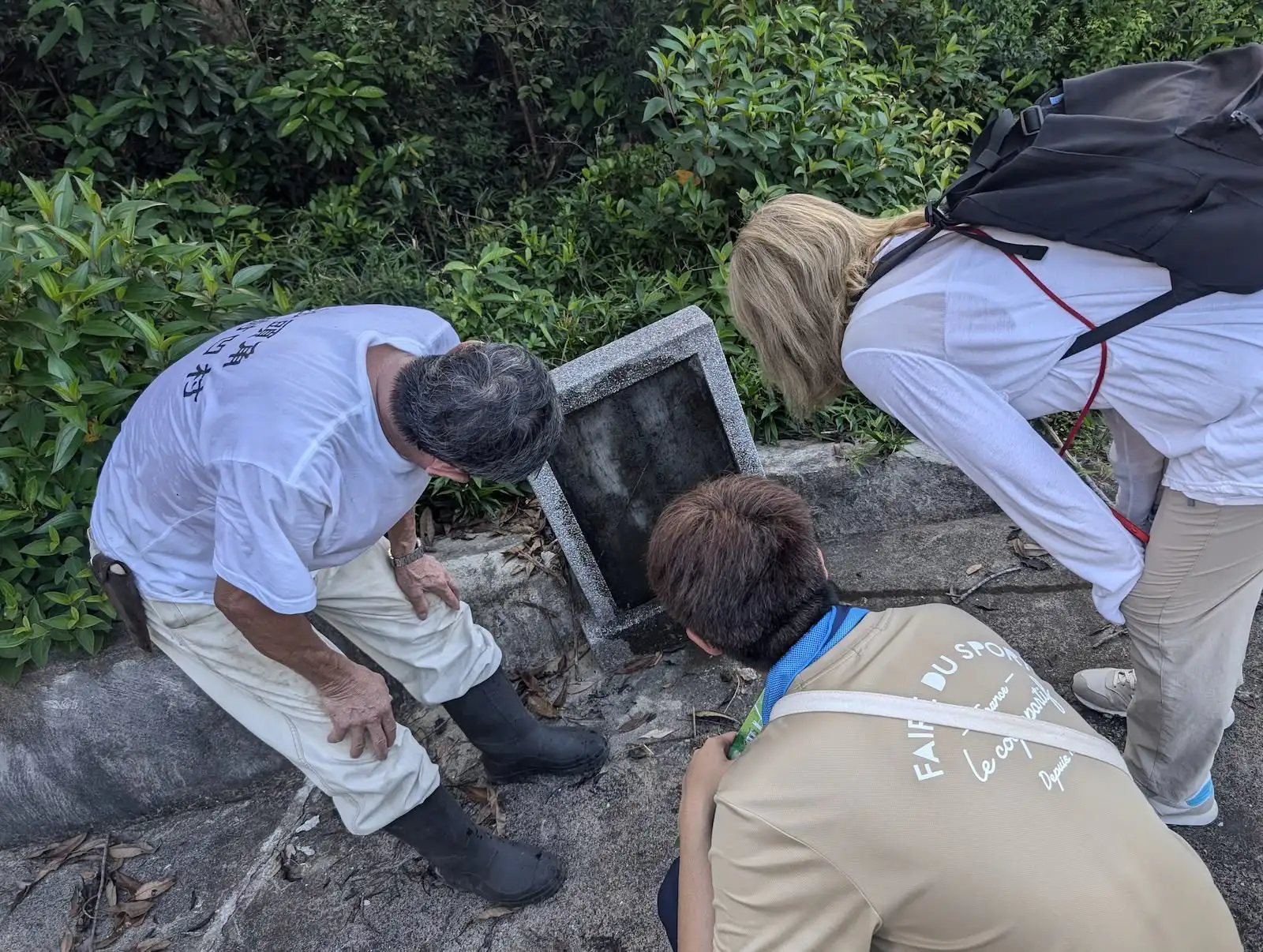 光影拾遺榕樹凹 - Gallery image 8