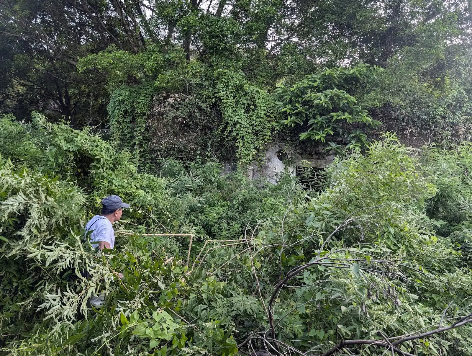 光影拾遺榕樹凹 - Gallery image 9