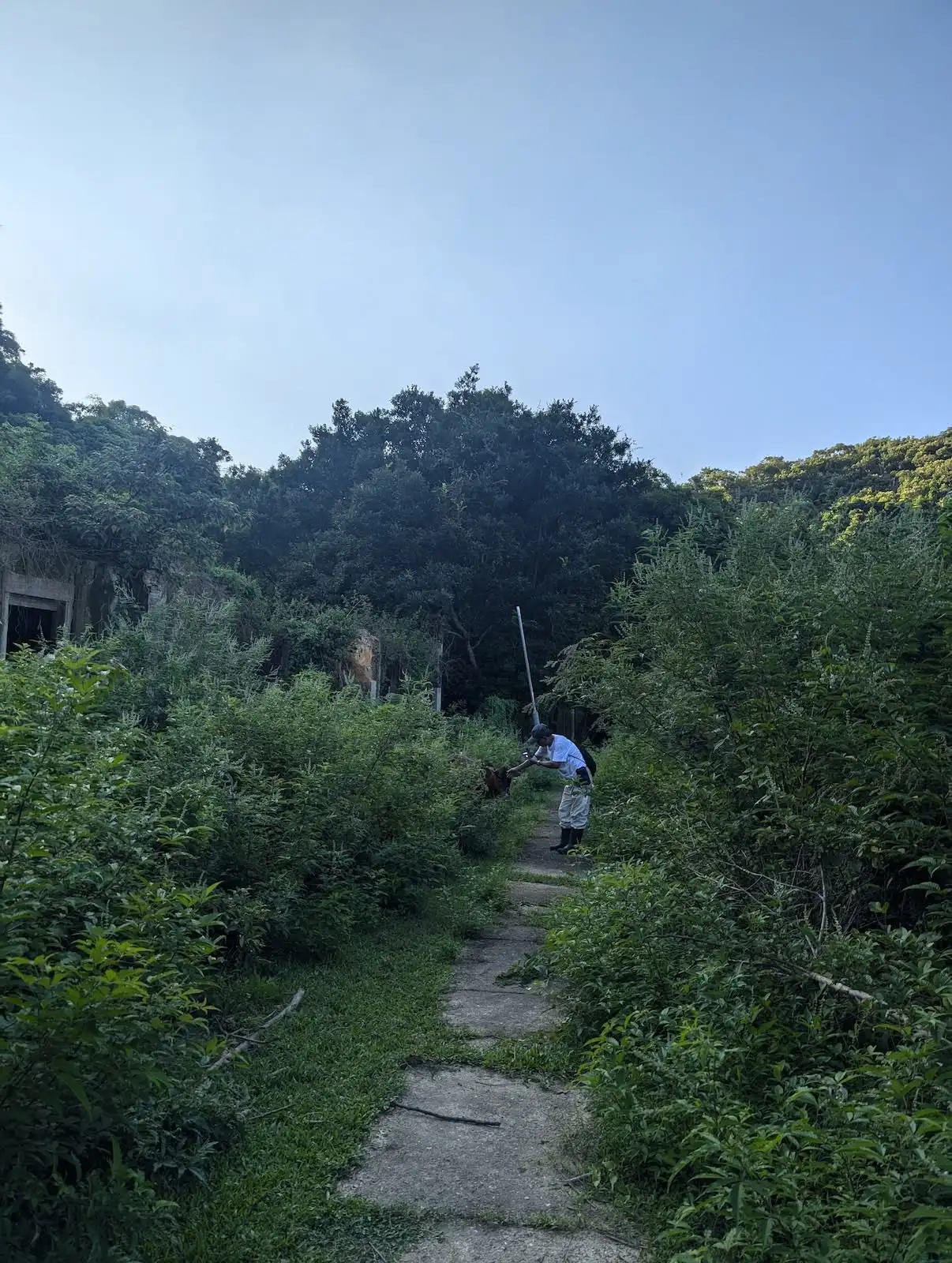 光影拾遺榕樹凹 - Gallery image 10