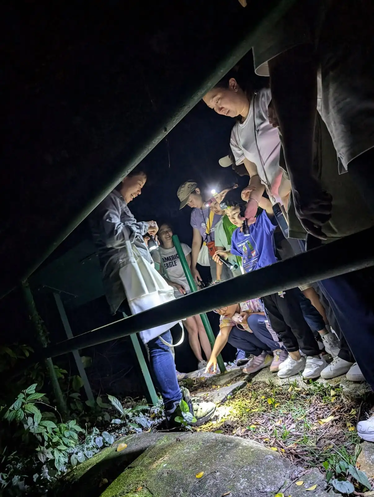 荔枝窩親子生態藝術遊 - Gallery image 7