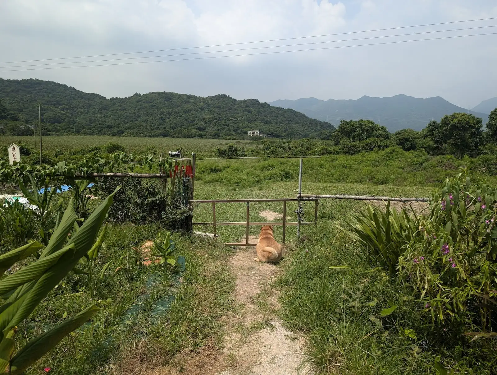 四季食桌【特別篇】 - Gallery image 2