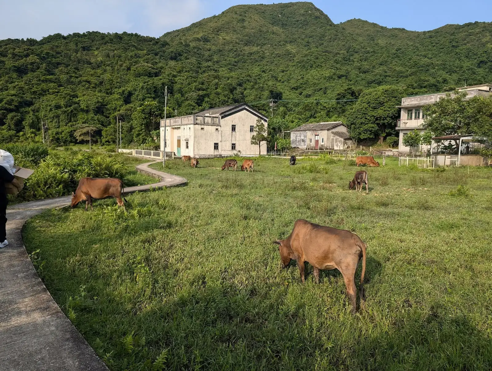 四季食桌【特別篇】 - Gallery image 3