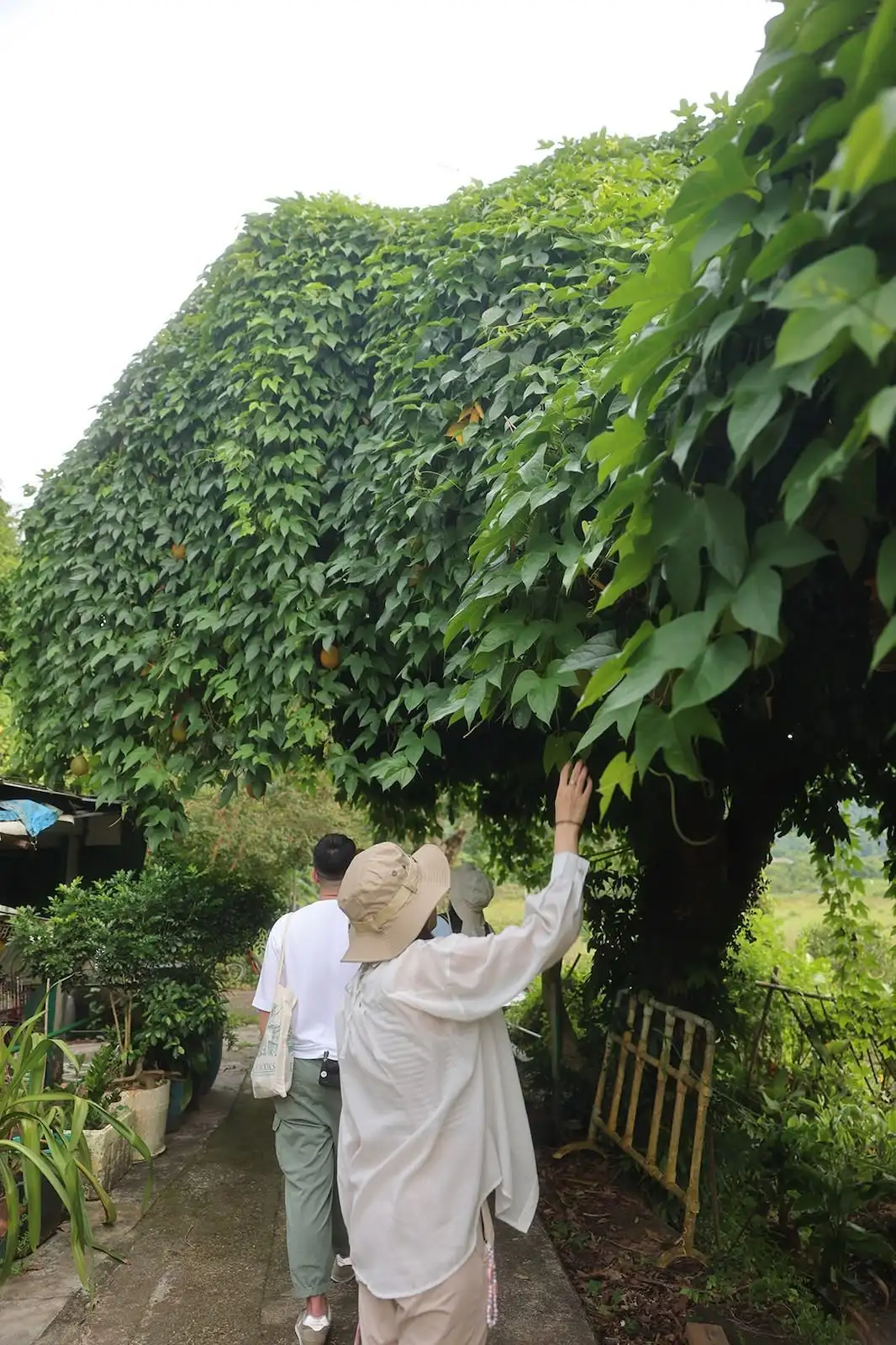 四季食桌【特別篇】 - Gallery image 11