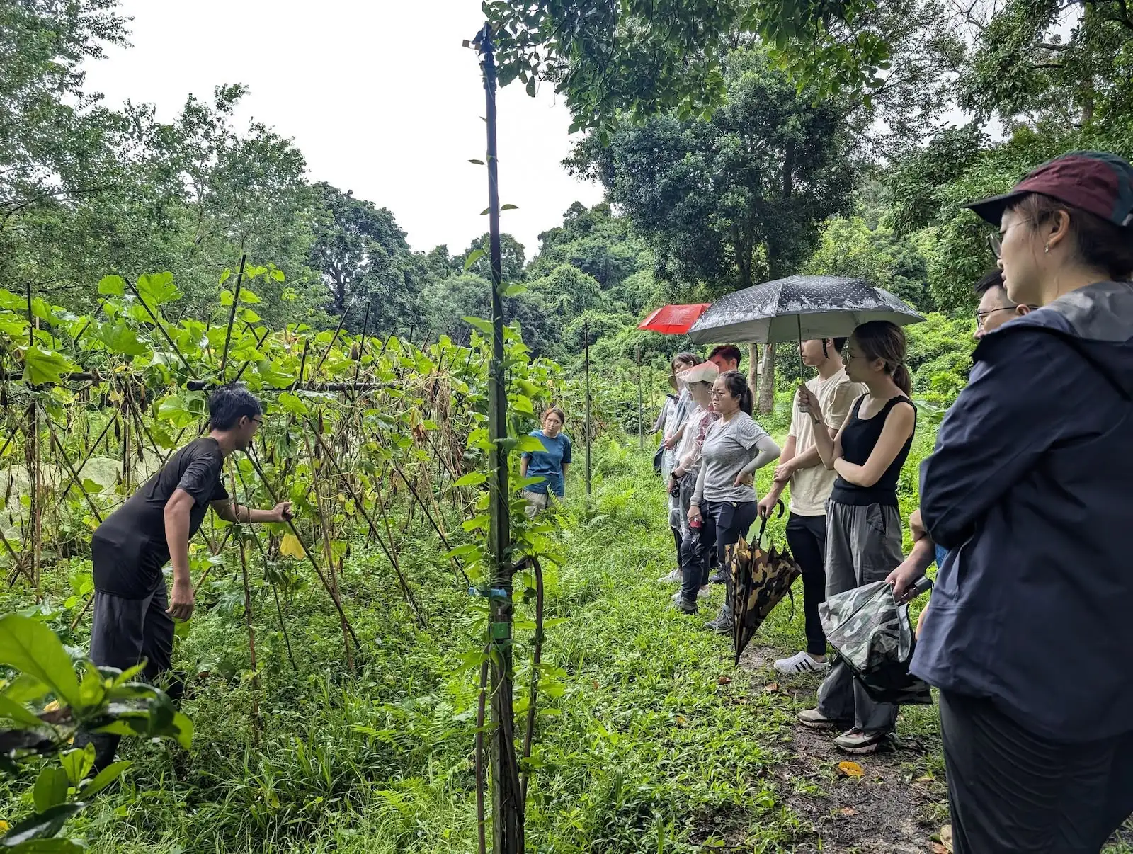 村落露營 之 吃瓜Camper - Gallery image 2