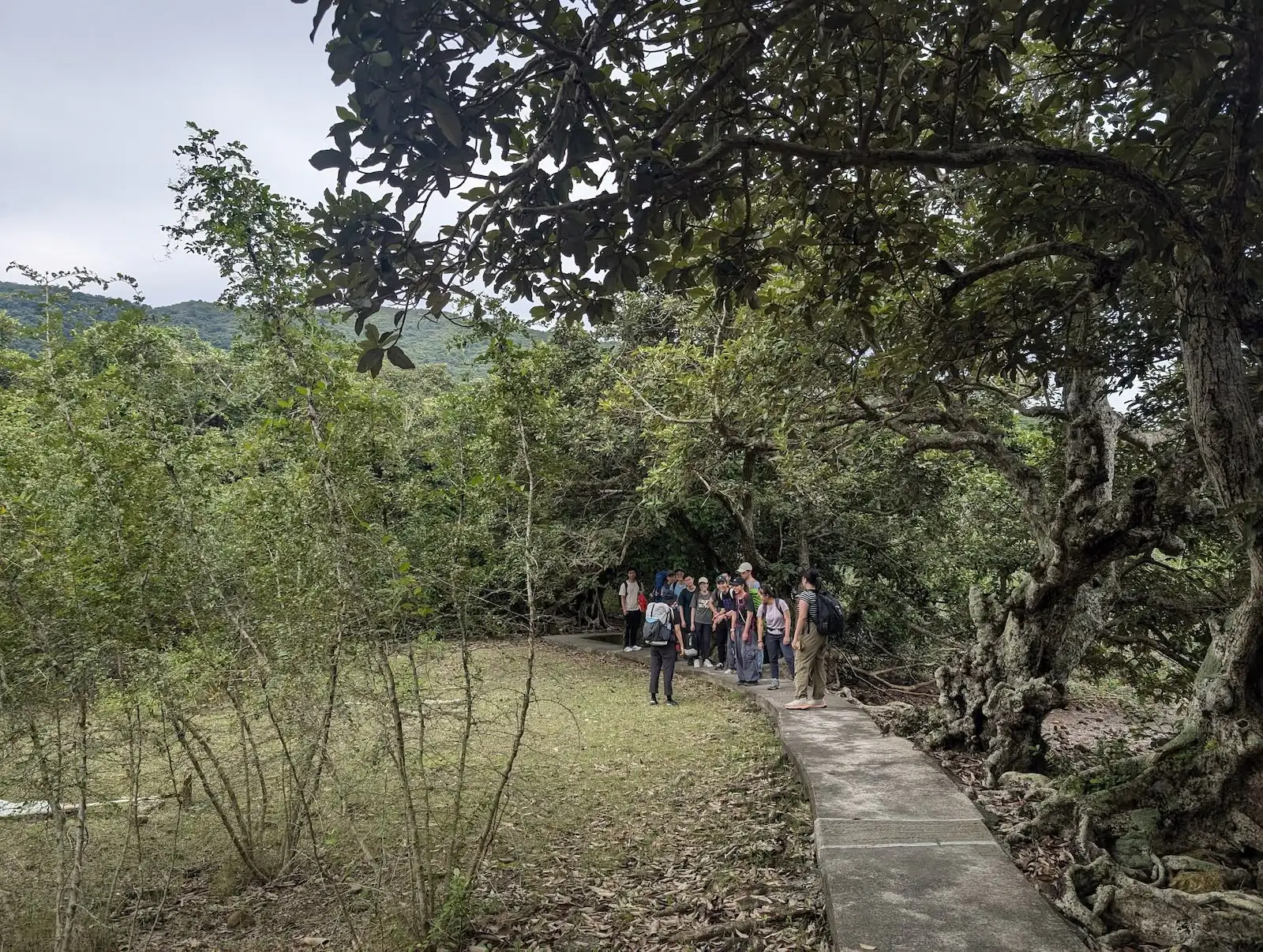 村落露營 之 吃瓜Camper - Gallery image 3