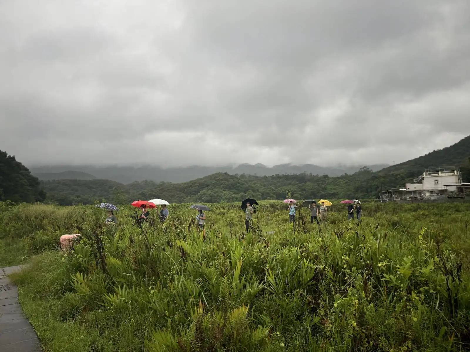 村落露營 之 吃瓜Camper - Gallery image 7