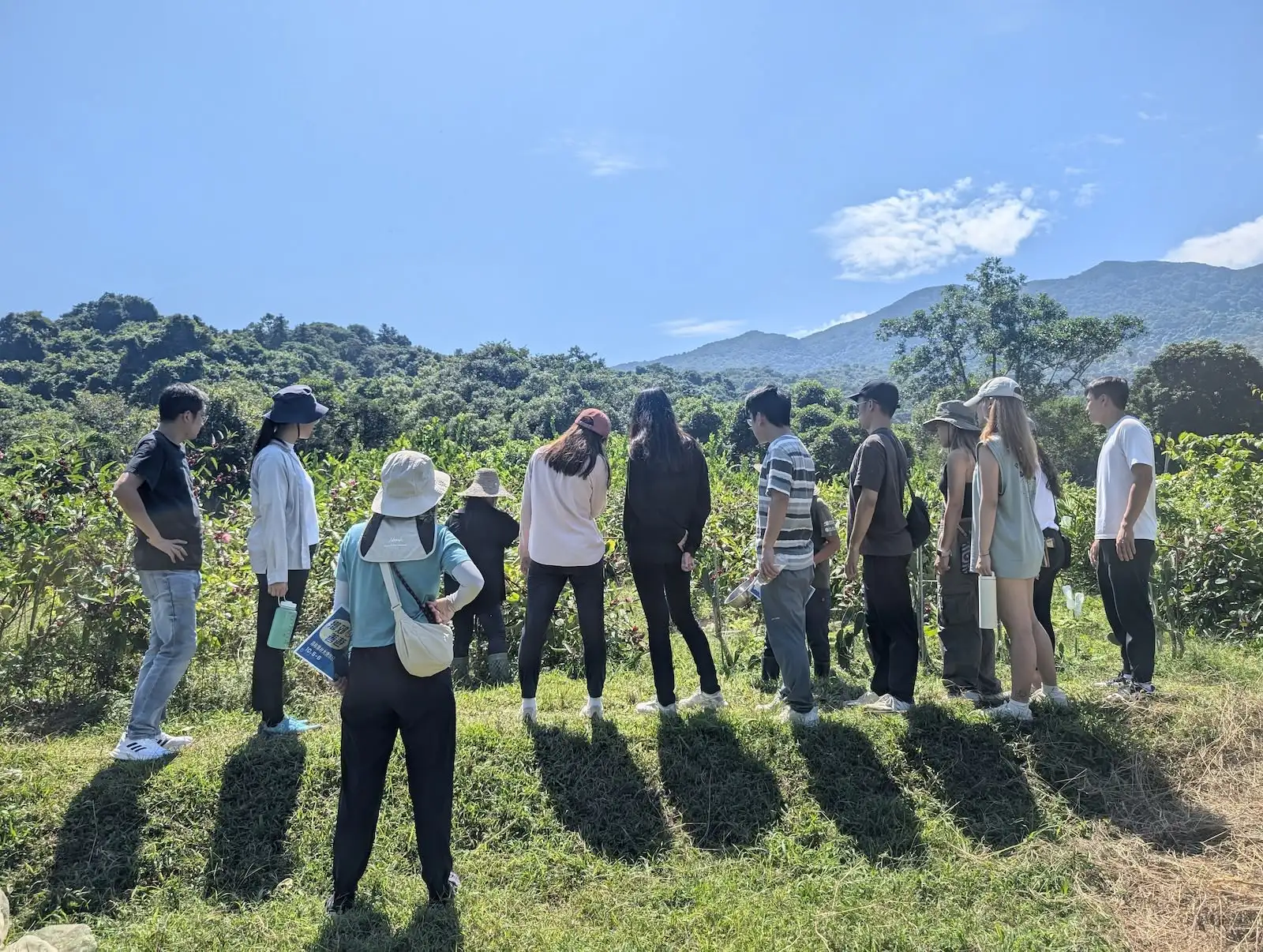 荔枝窩大清潔日 × 原創實地LARP - Gallery image 11