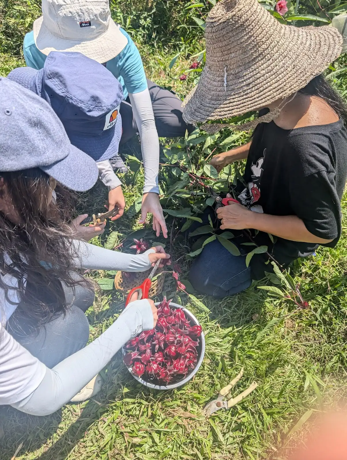 荔枝窩大清潔日 × 原創實地LARP - Gallery image 12