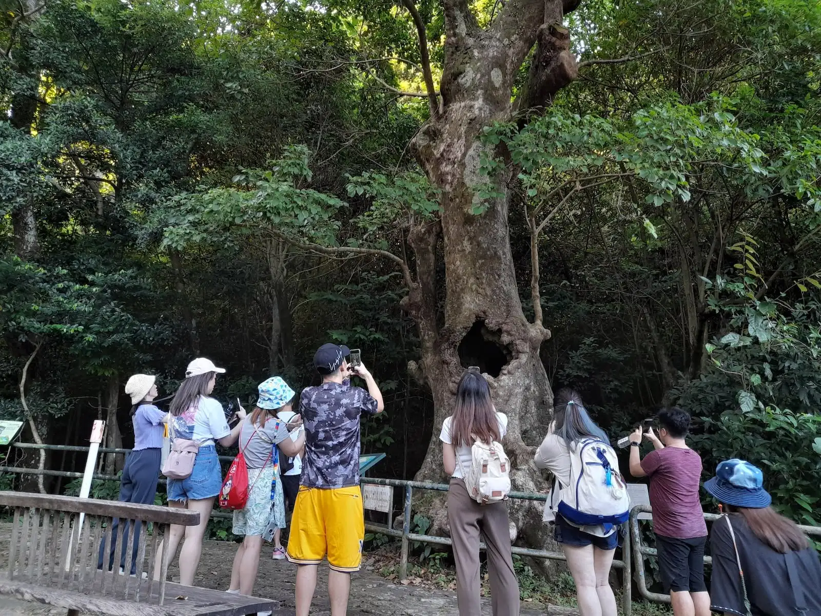 秋日交友計劃 - Gallery image 5