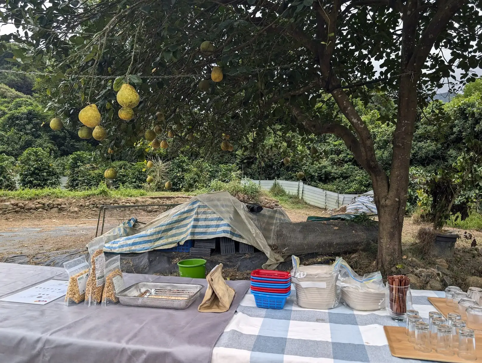 秋日交友計劃 - Gallery image 8