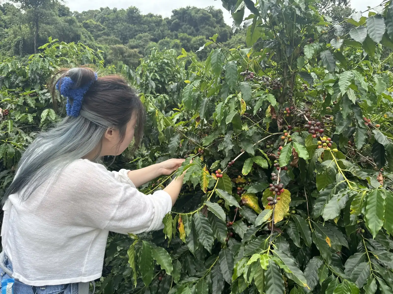 秋日交友計劃 - Gallery image 9