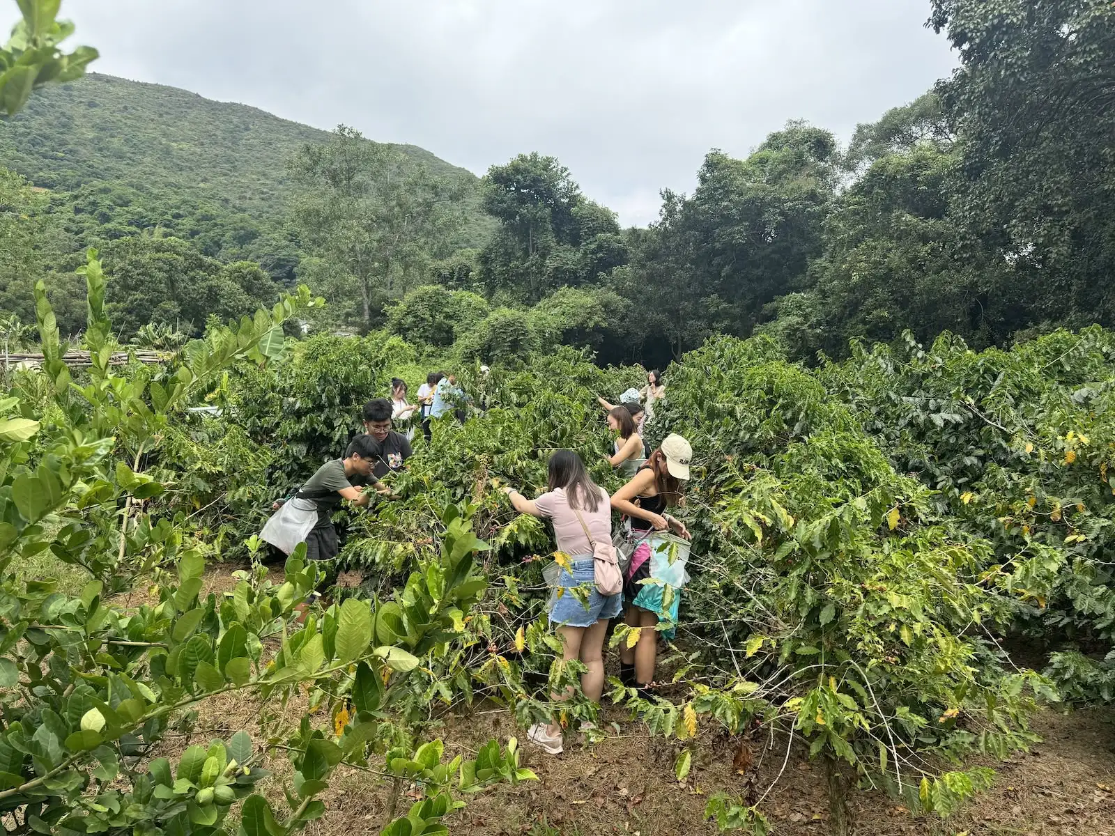 秋日交友計劃 - Gallery image 10