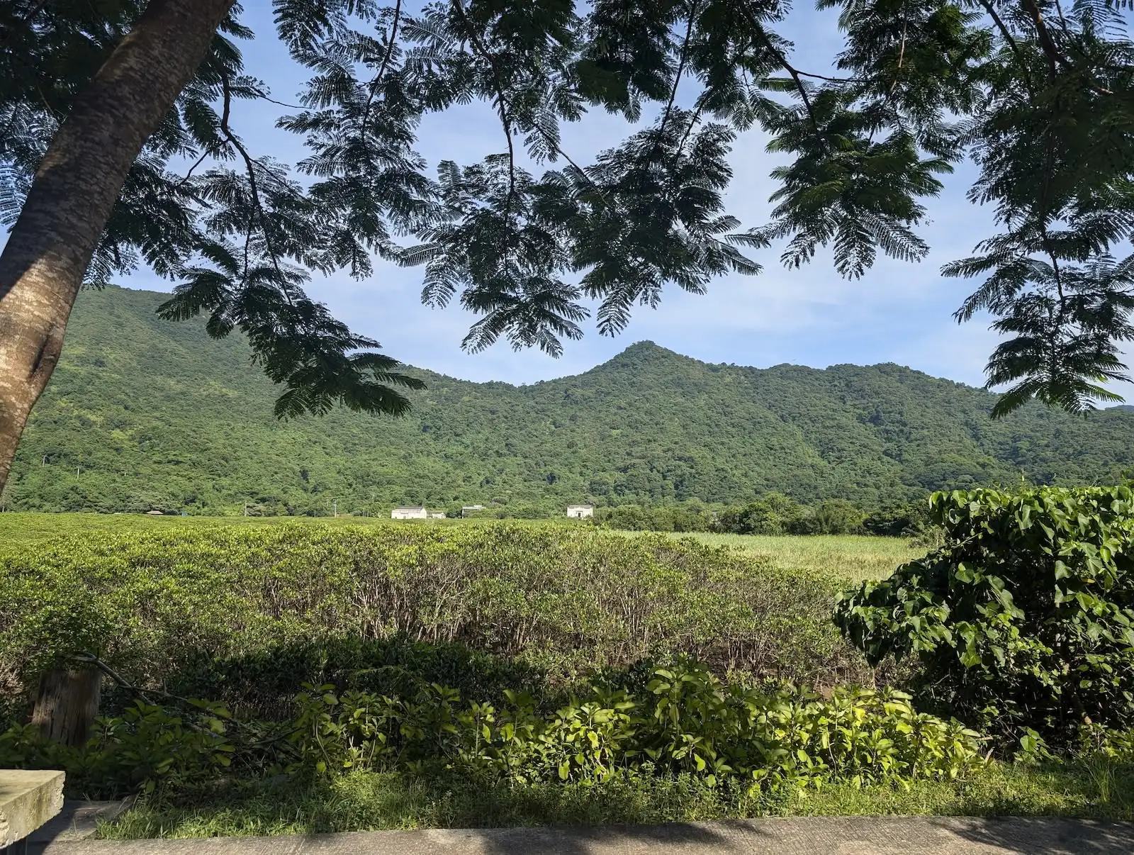 四季食桌【秋】 - Gallery image 2