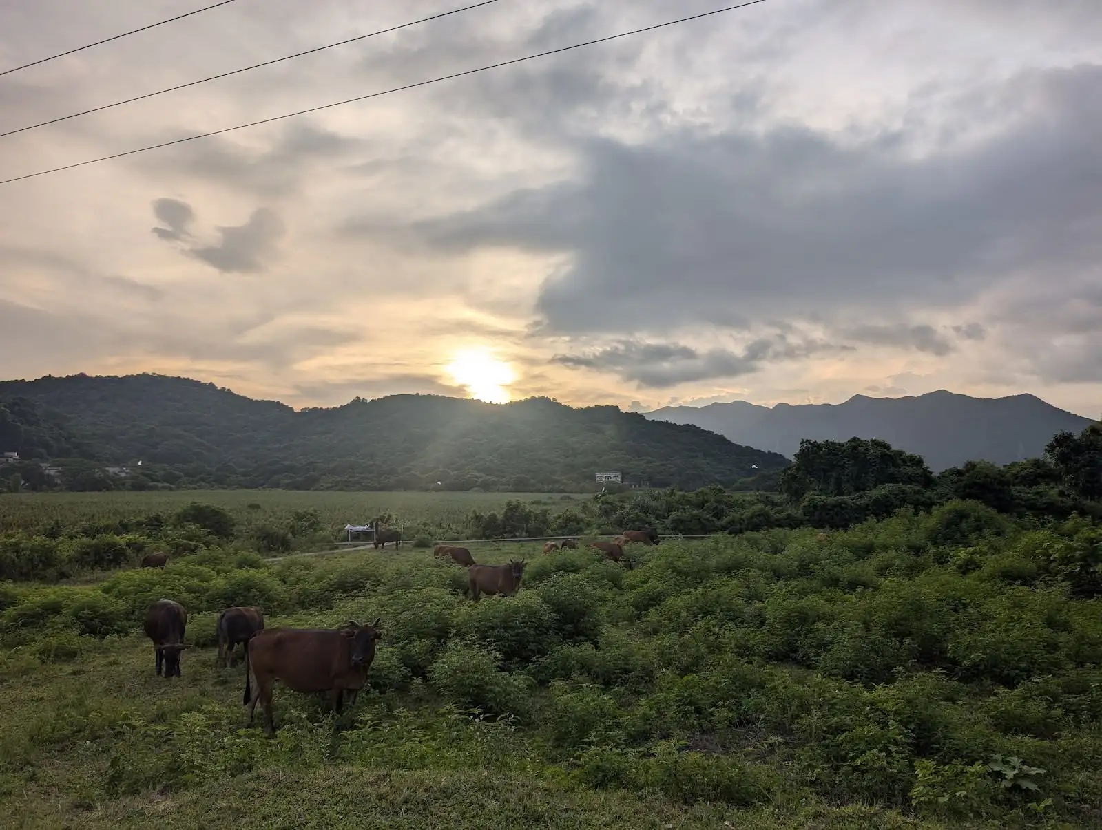 四季食桌【秋】 - Gallery image 3