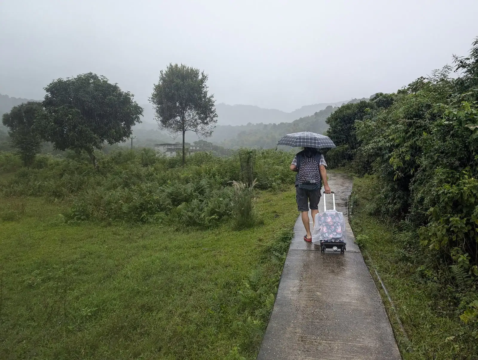 四季食桌【秋】 - Gallery image 4