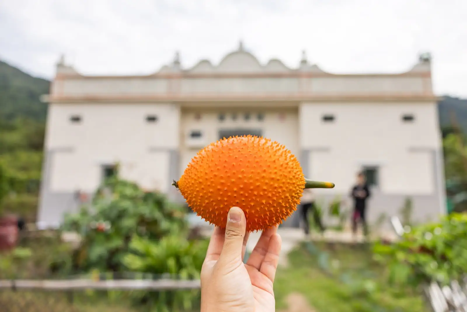 四季食桌【秋】 - Gallery image 6