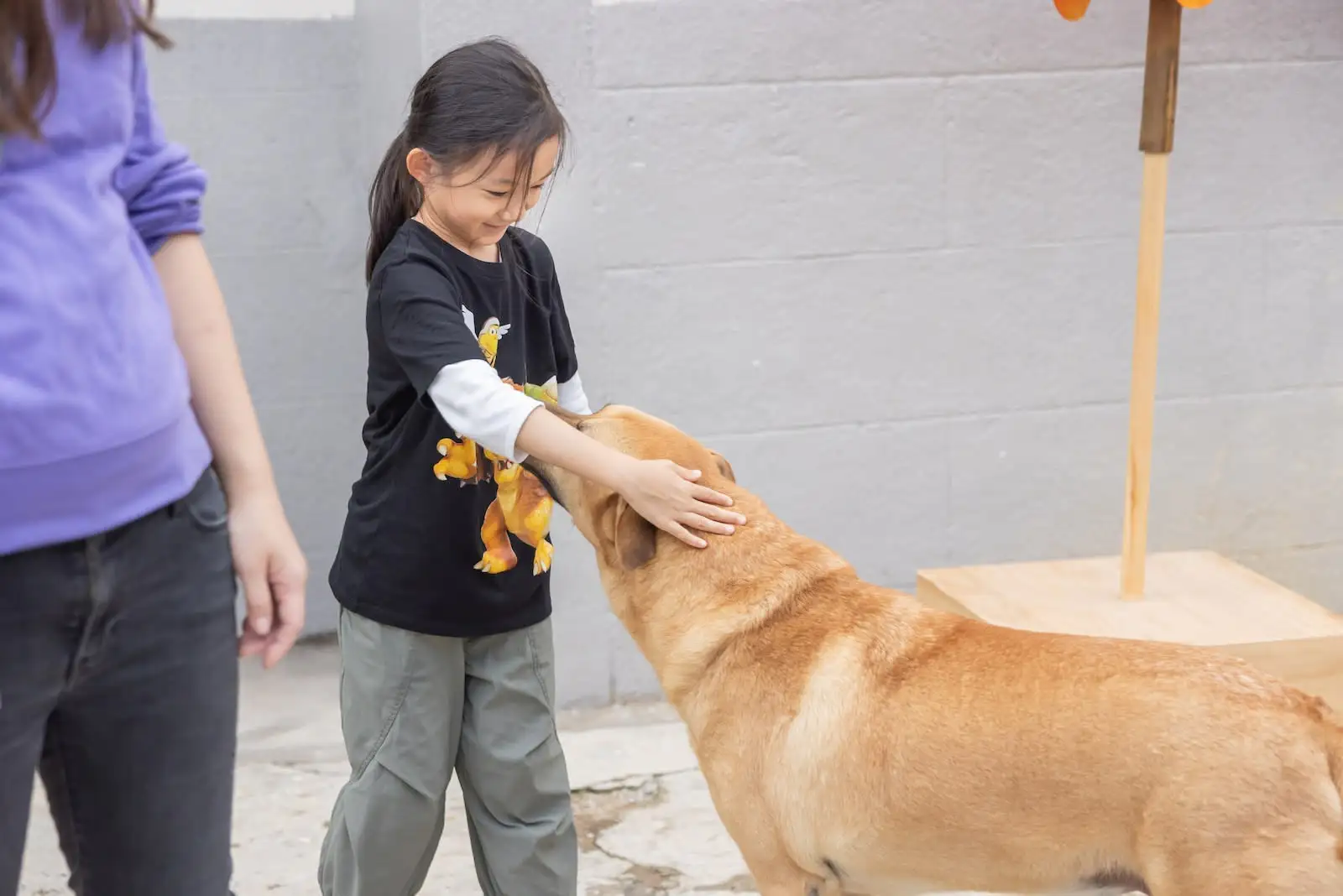 四季食桌【秋】 - Gallery image 12