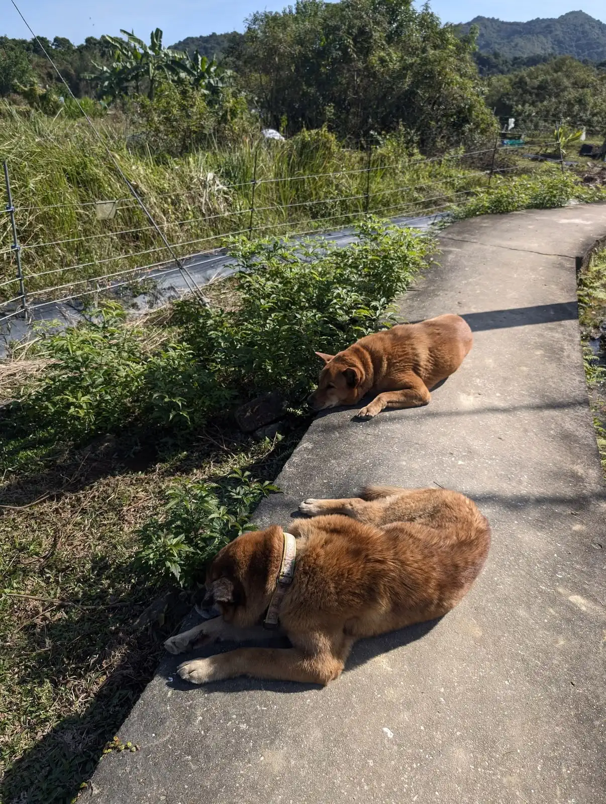 五感 PLAYGROUND - Gallery image 13