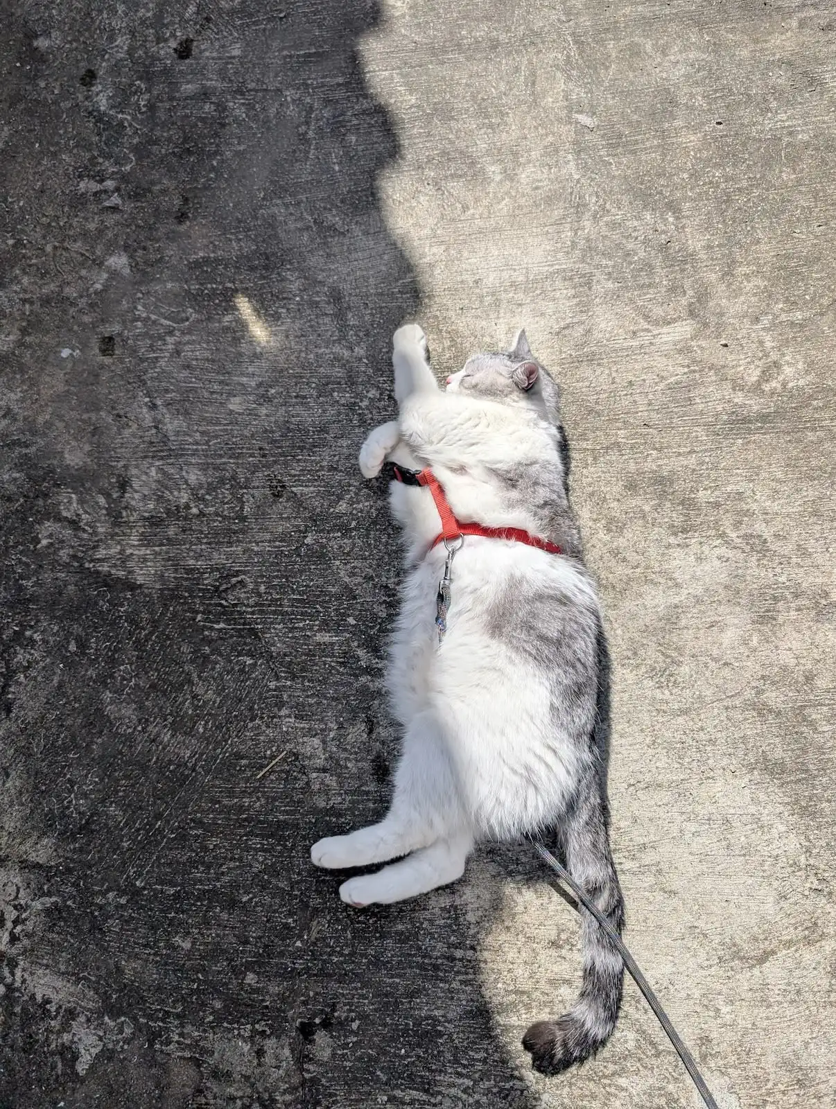 五感 PLAYGROUND - Gallery image 14