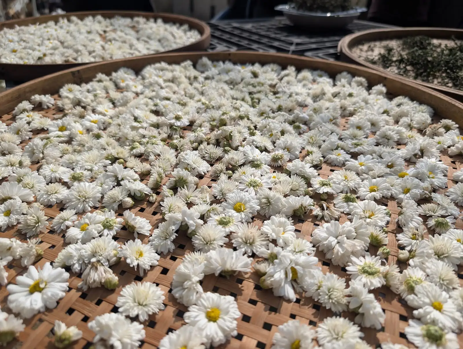 跳村Film Challenge - Gallery image 12