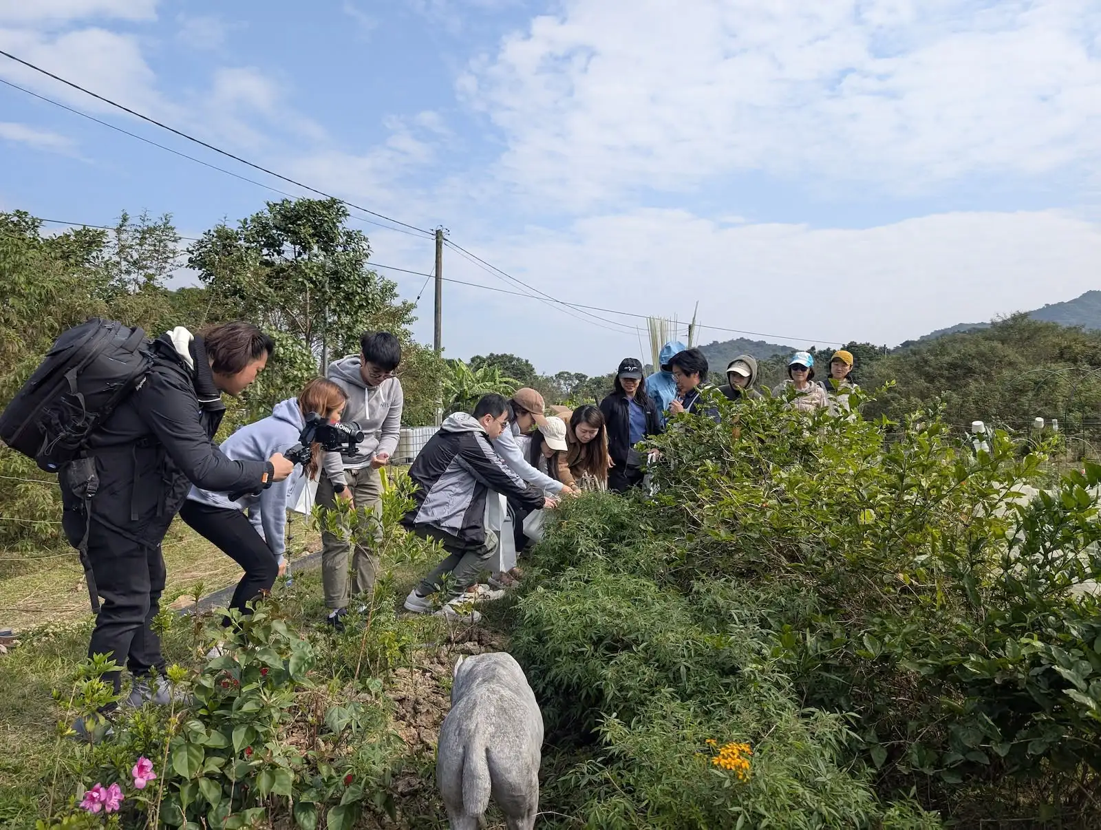村落露營 之 夕酒朝啡 - Gallery image 4