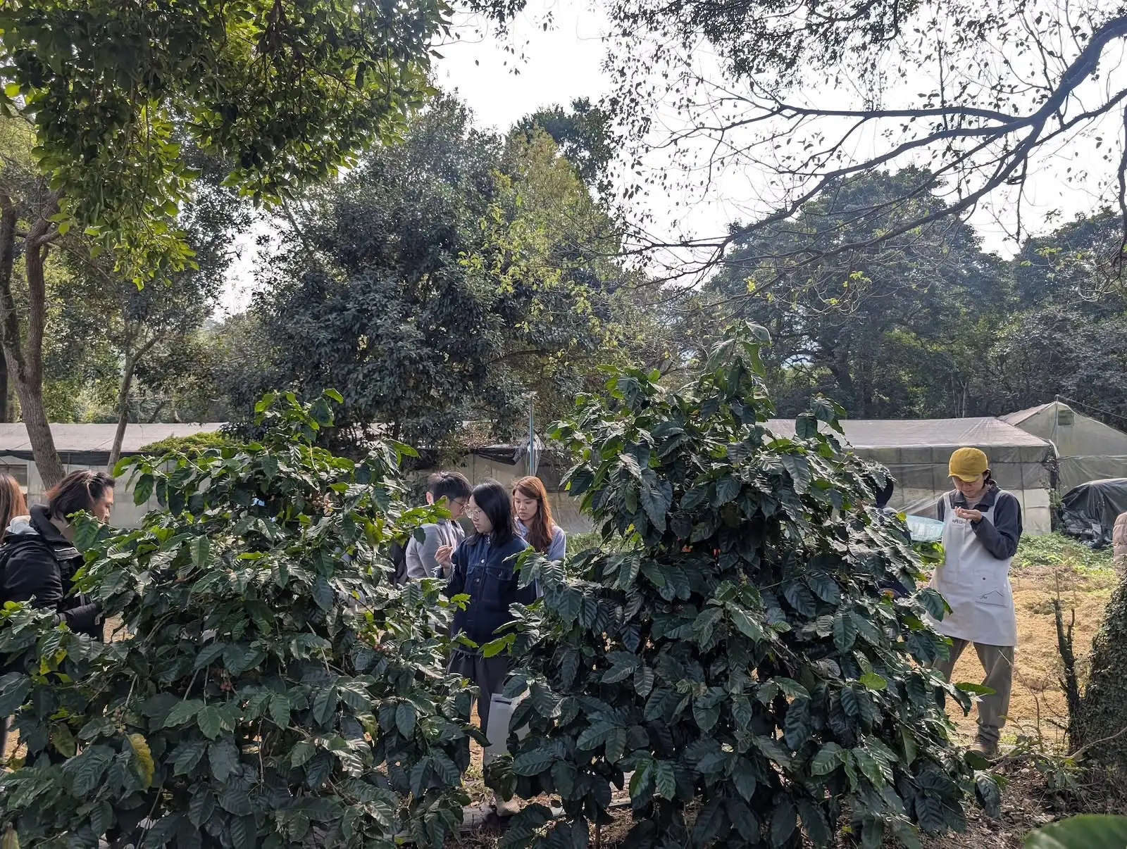 村落露營 之 夕酒朝啡 - Gallery image 5