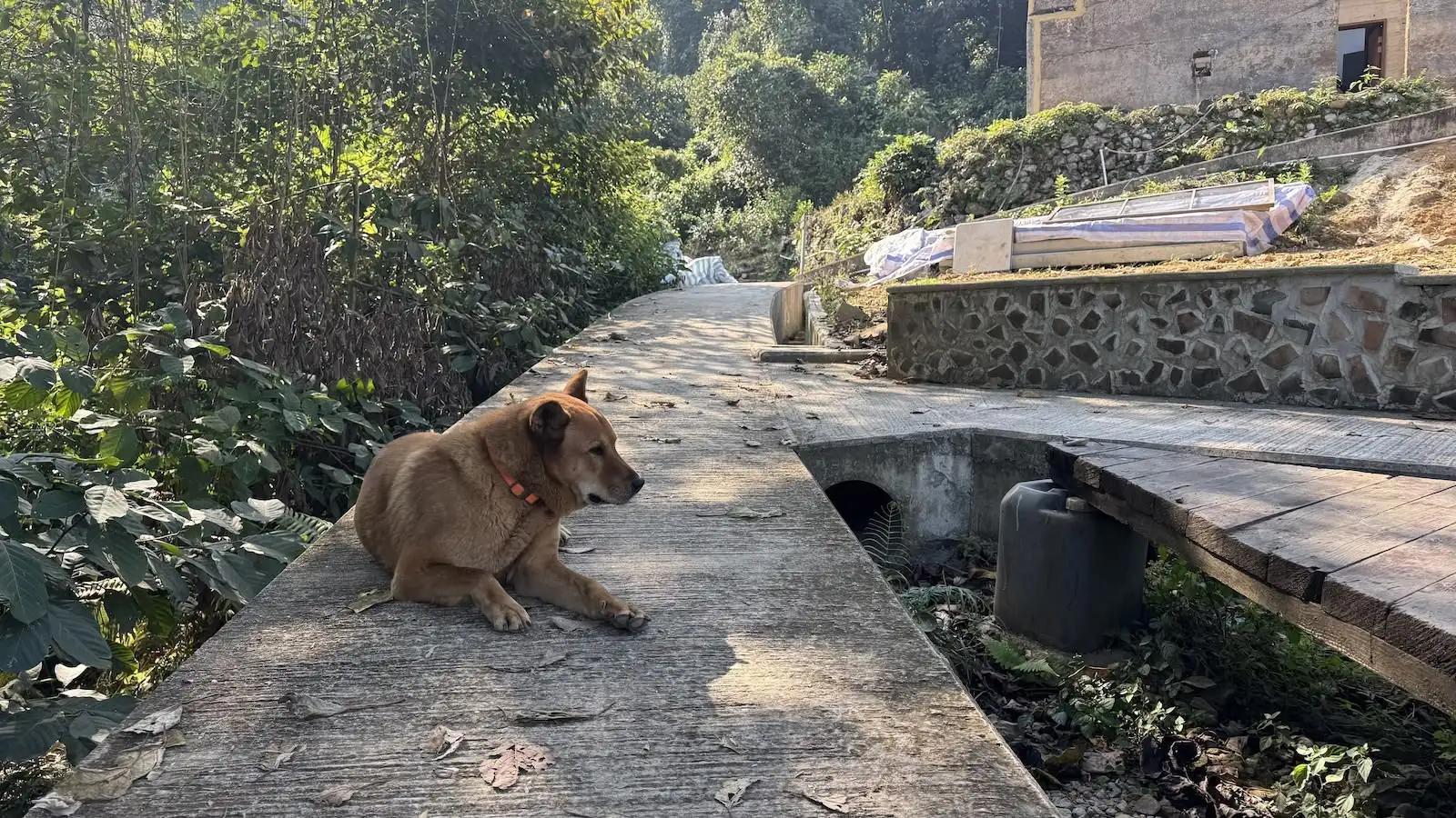 村落露營 之 夕酒朝啡 - Gallery image 6
