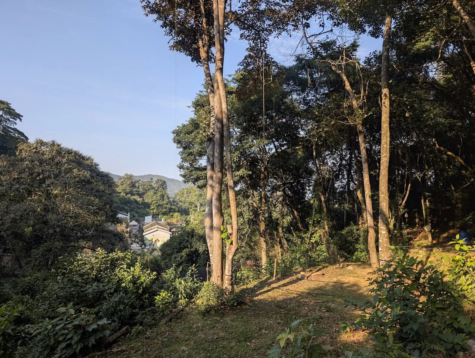 村落露營 之 夕酒朝啡 - Gallery image 7