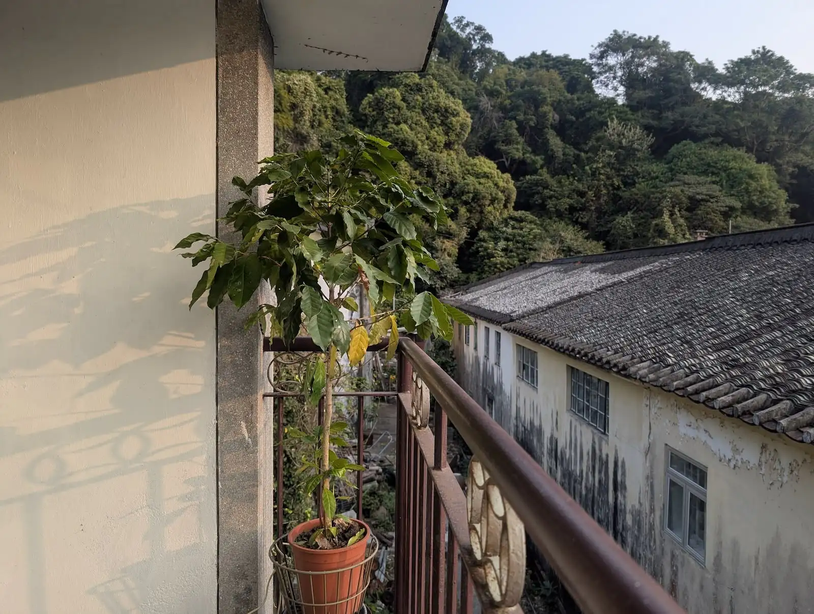 原來敢生活音樂營 - Gallery image 17