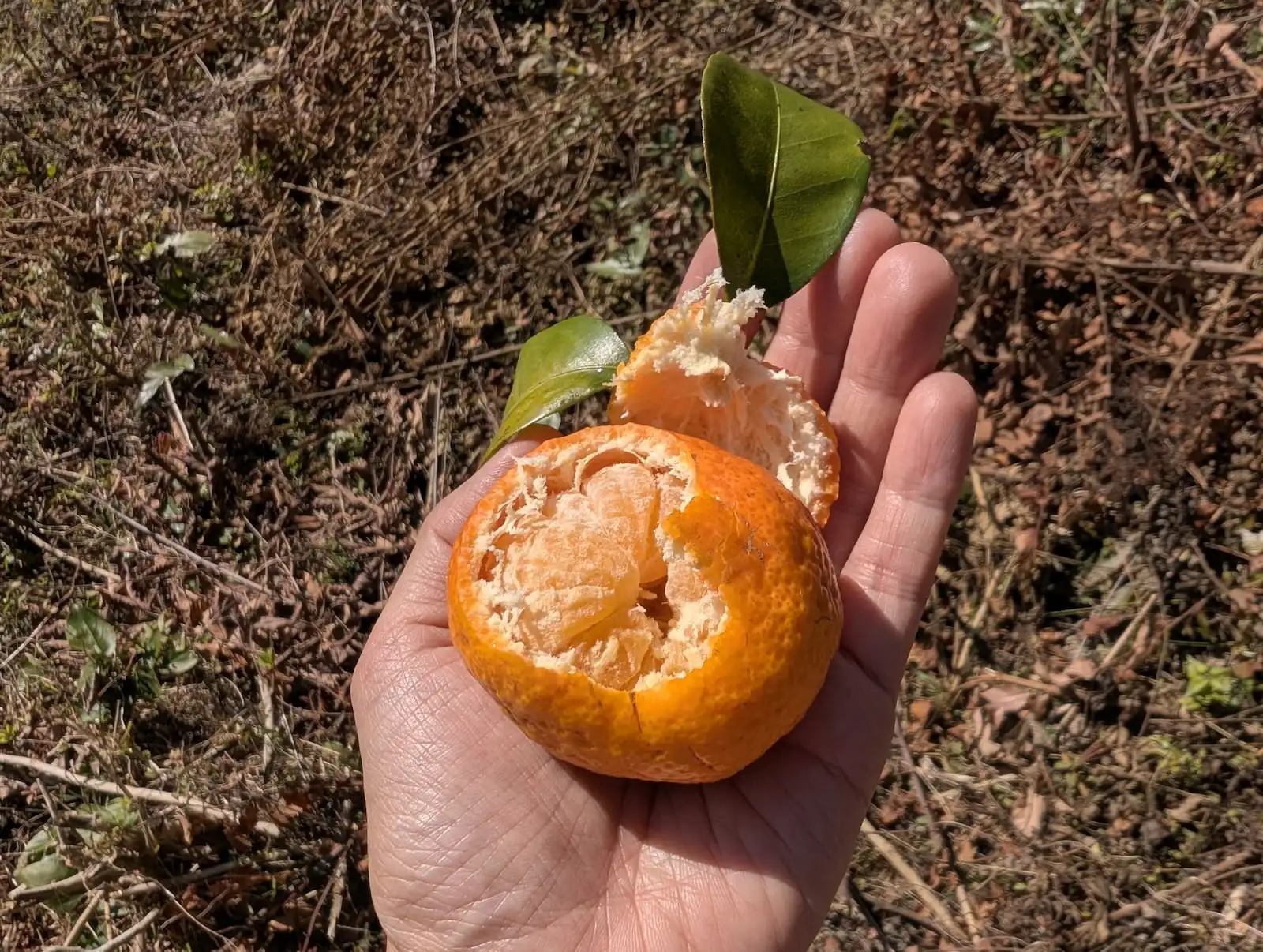 盲盒旅行 - Gallery image 2