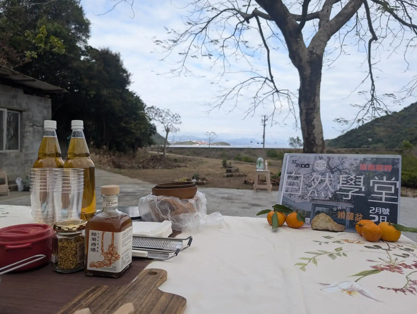 盲盒旅行 - Gallery image 5